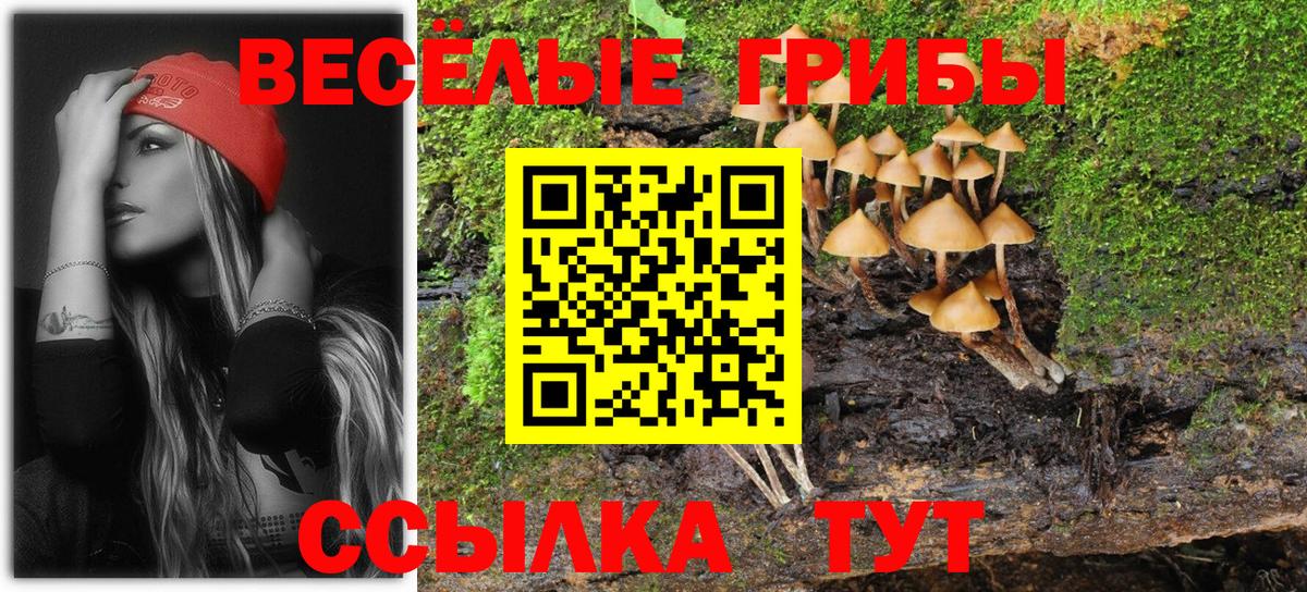 Псилоцибиновые грибы прущие грибы Обь